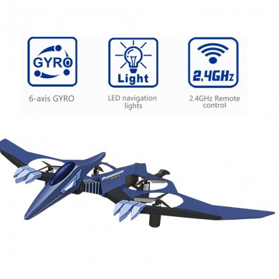 2.4G Pterosaurs 4-axis RC Aircraft with GYRO Unique Design Pterosaurs RC Plane